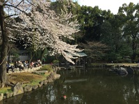 靖国神社　神池庭園.jpg